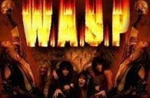 Nuevo lyric video de wasp wasp