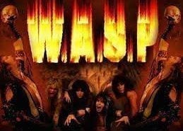 Nuevo lyric video de wasp wasp
