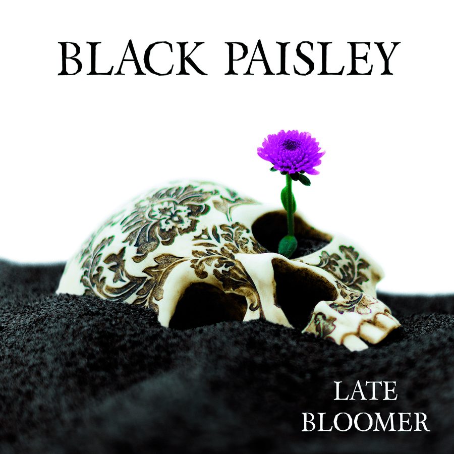 Reviews-de-rock-and-blog-black-paisley-late-blomer-portada