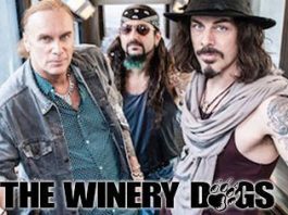 the_winery_dogs2016_2_500x267