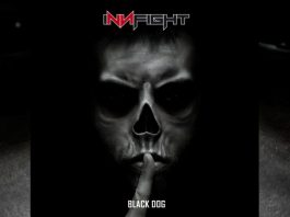 review innfight black dog