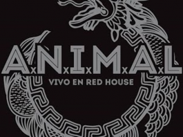 animal-vivo-redhouse-rock-and-blog