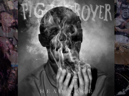 review-pig-destroy-head-cage