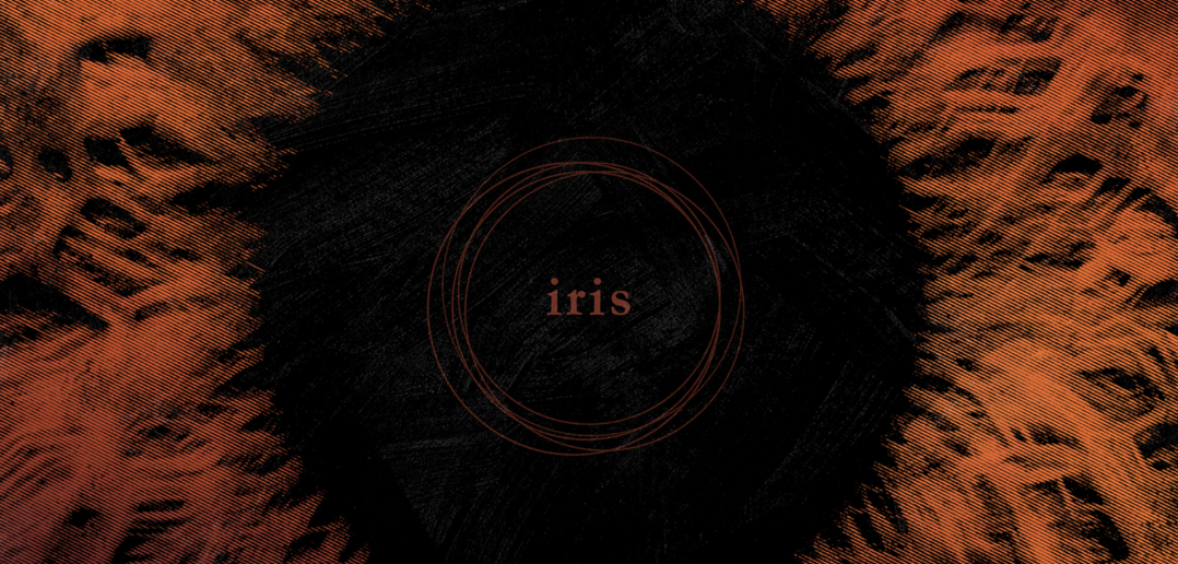 review-iris