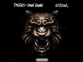 tigers pan tang nuevo video