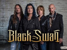 black swan rock and blog