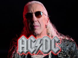 dee snider acdc