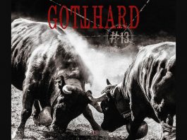 review-gotthard-13
