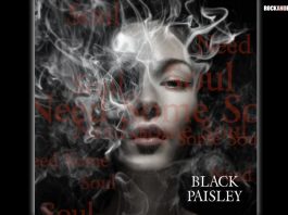 black paisley nuevo video