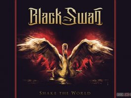 review-black-swan-shake-the-world