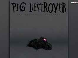 review pig destroyer octagonal