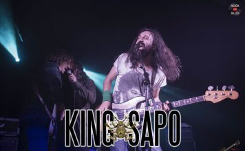 cronica-concierto-king-sapo-madrid-2021-diciembre