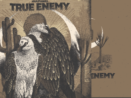 true-enemy-vultures-disco