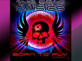 the dead daisies born to fly