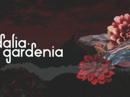 dalia-gardenia