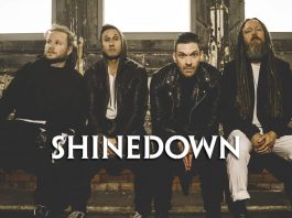 shinedown-the-library-sessions