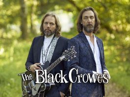 the-black-crowes