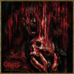 Portada de More Than Misery de Carnifex