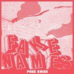 Portada de Punk Ruins de Fake Names