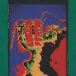 Portada de Signal Fire de Genghis Tron