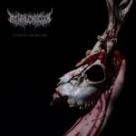 Portada de Echoes Of A Forlorn Land de Mental Cruelty
