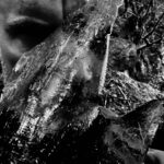 Portada de En Skog av Nidstang de Taake