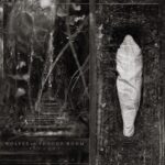 Portada de Estuary de Wolves In The Throne Room