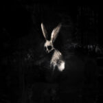 Portada de Follow The White Rabbit de Ghostkid
