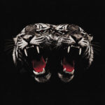 Portada de Dead Company de Royal Blood